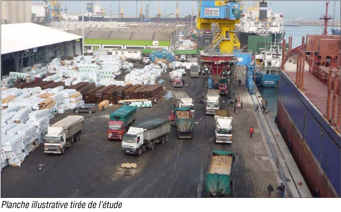 Etude d’organisation de la circulation à l’intérieur des terminaux de Marsa Maroc au port de Casablanca