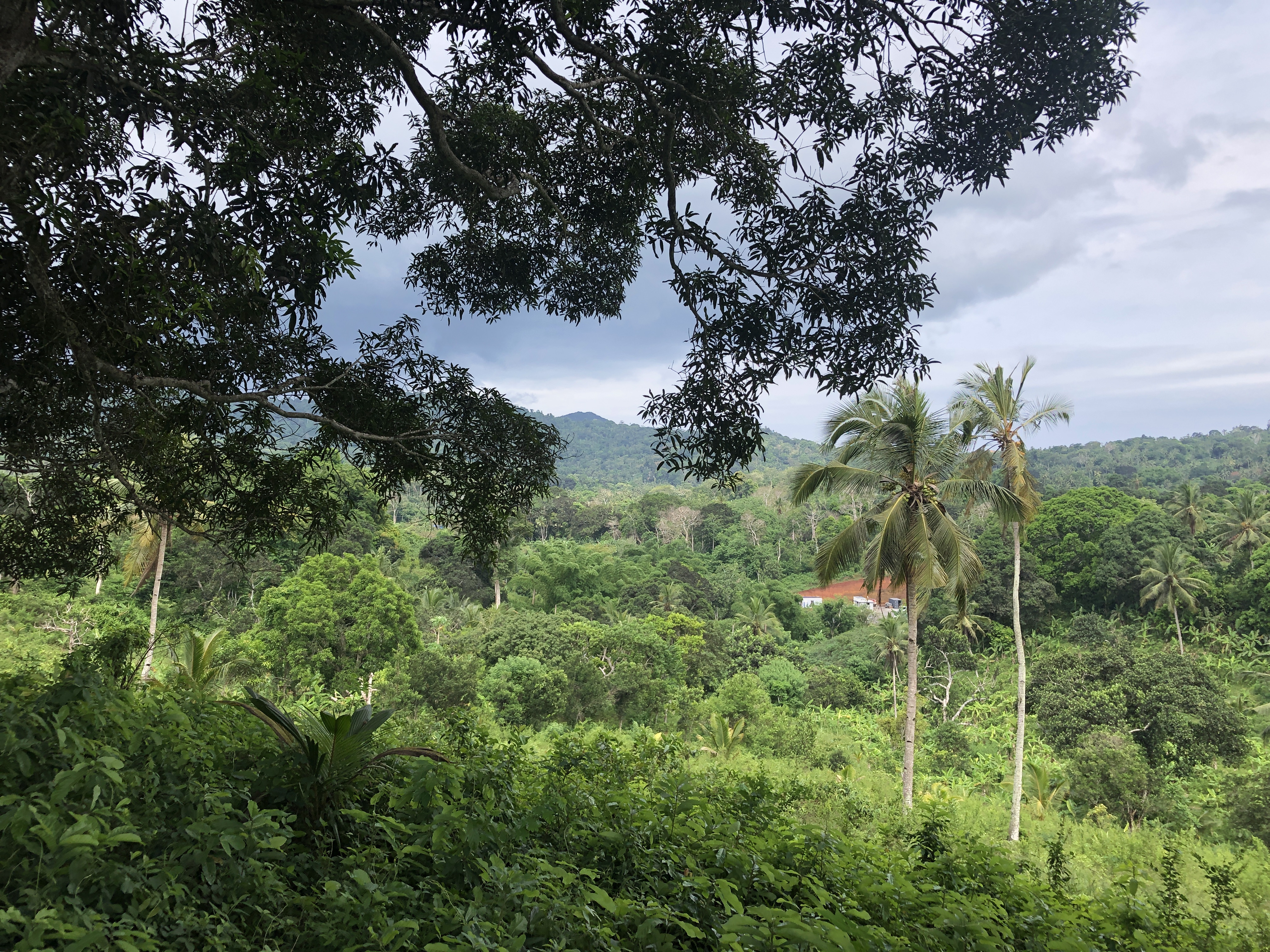 MOE urbaine en vue de l’aménagement de la ZAC de Coconi à Ouangani